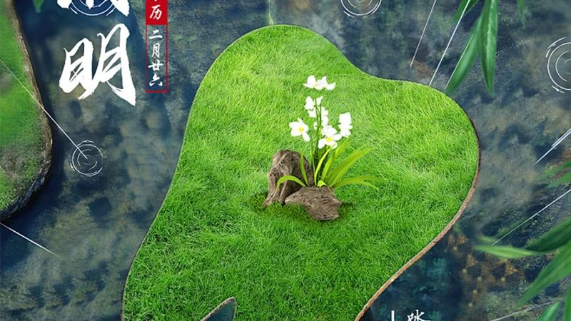 隐形牙套与钢丝牙套：矫正周期大揭秘
